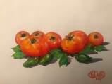 Tomatoes Jalapenos 24 July 2019